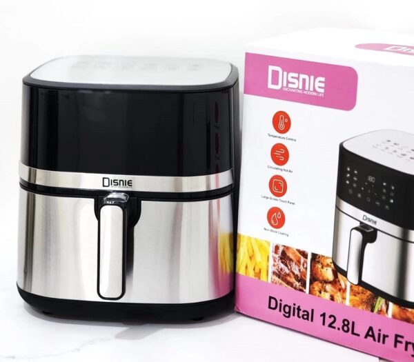 سرخ کن دسینی مدل DS839DD ظرفیت ۱۳.۵ لیتر